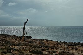 DSC03414 -1_t.jpg